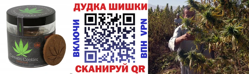 Canna-Cookies конопля  где продают наркотики  Вязьма 