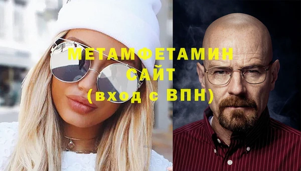 прущие грибы Новозыбков