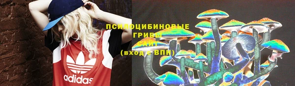 spice Верея