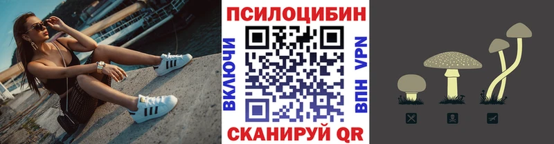 даркнет какой сайт  Вязьма  Псилоцибиновые грибы ЛСД  купить закладку 